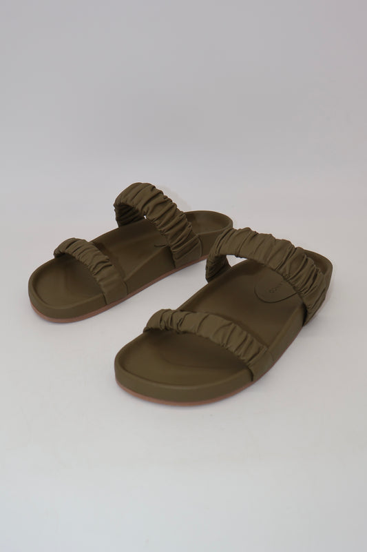 Amy Sandal | Olive