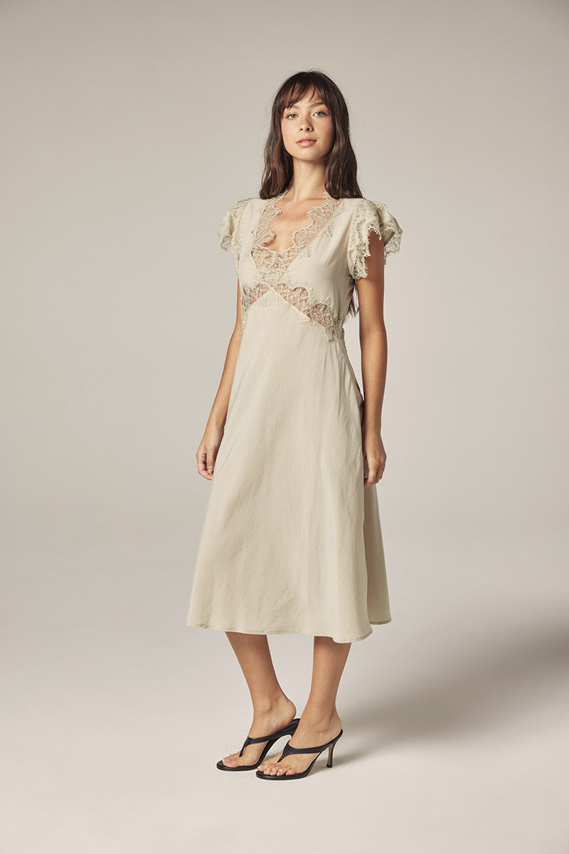 Lace Bias Dress | Ash