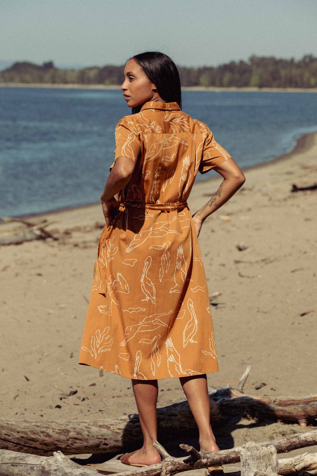 Sylvie Dress / Shoreflight: Shoreflight