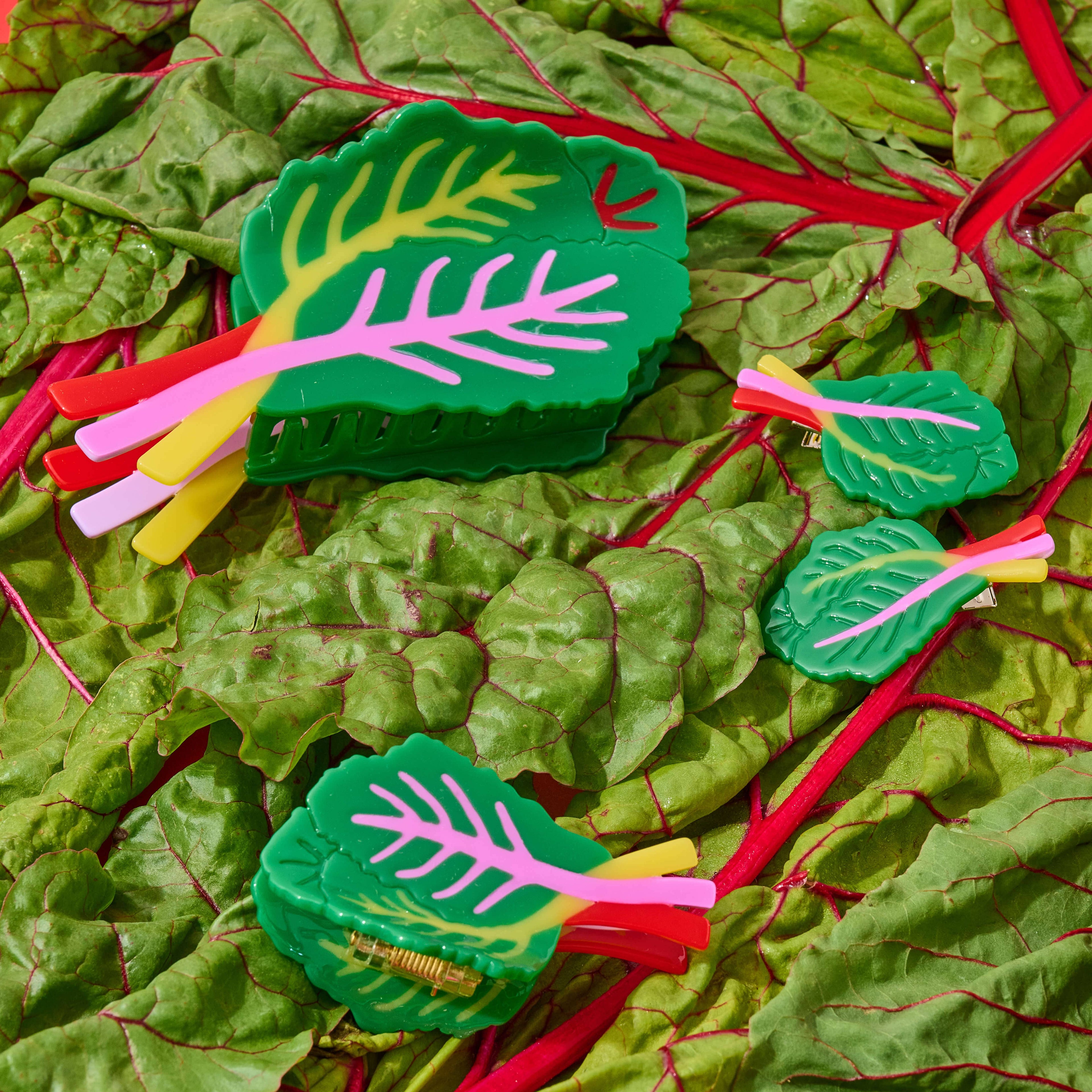 Midi Rainbow Chard Hair Claw Clip