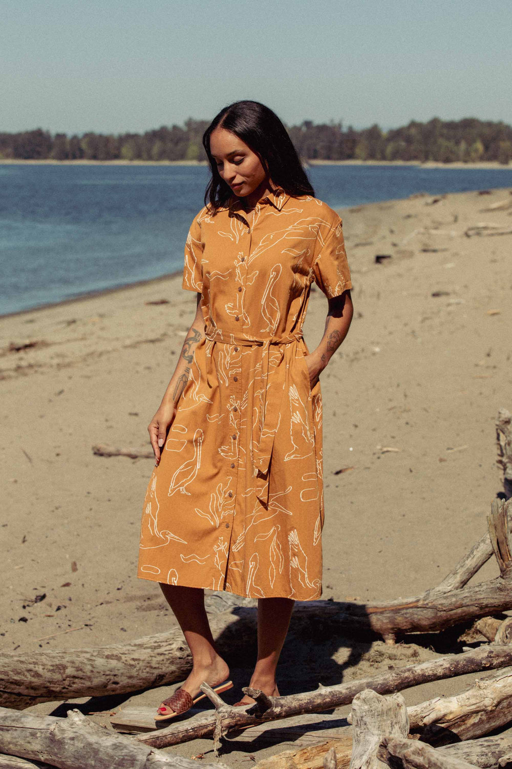 Sylvie Dress / Shoreflight: Shoreflight