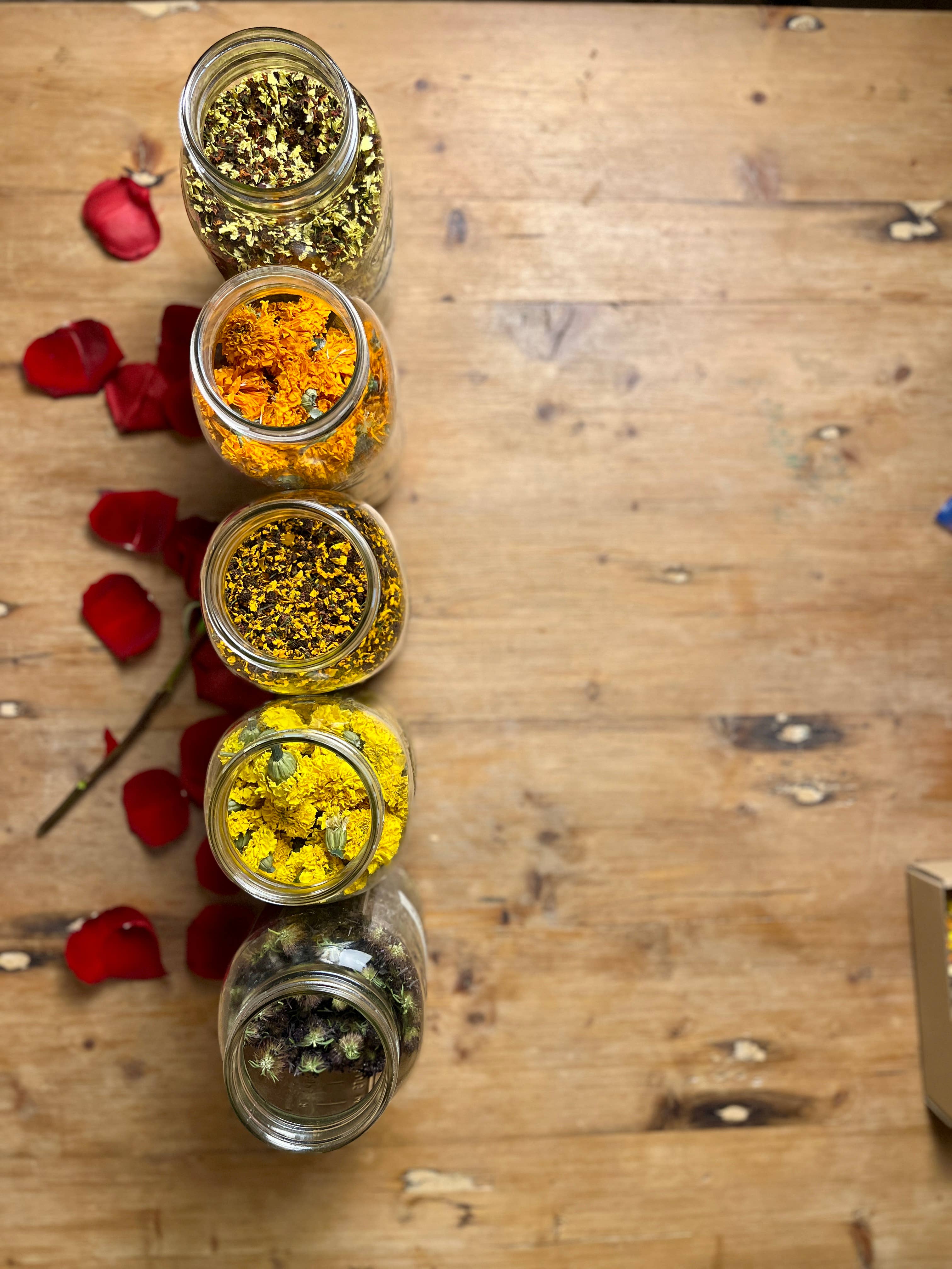 Botanical Dye Kit - Silk Scarf + Real Flowers