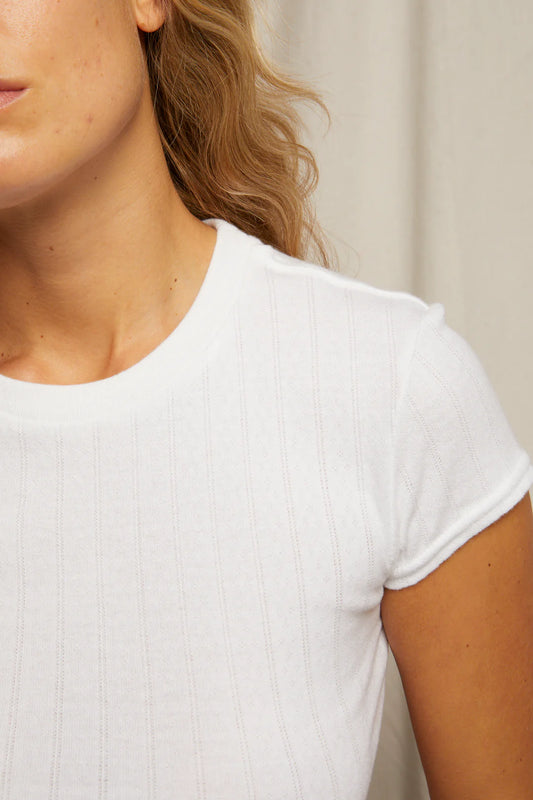 Jude Pointelle Crew Neck Tee | White