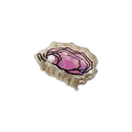 Mini Oyster Hair Claw Clip