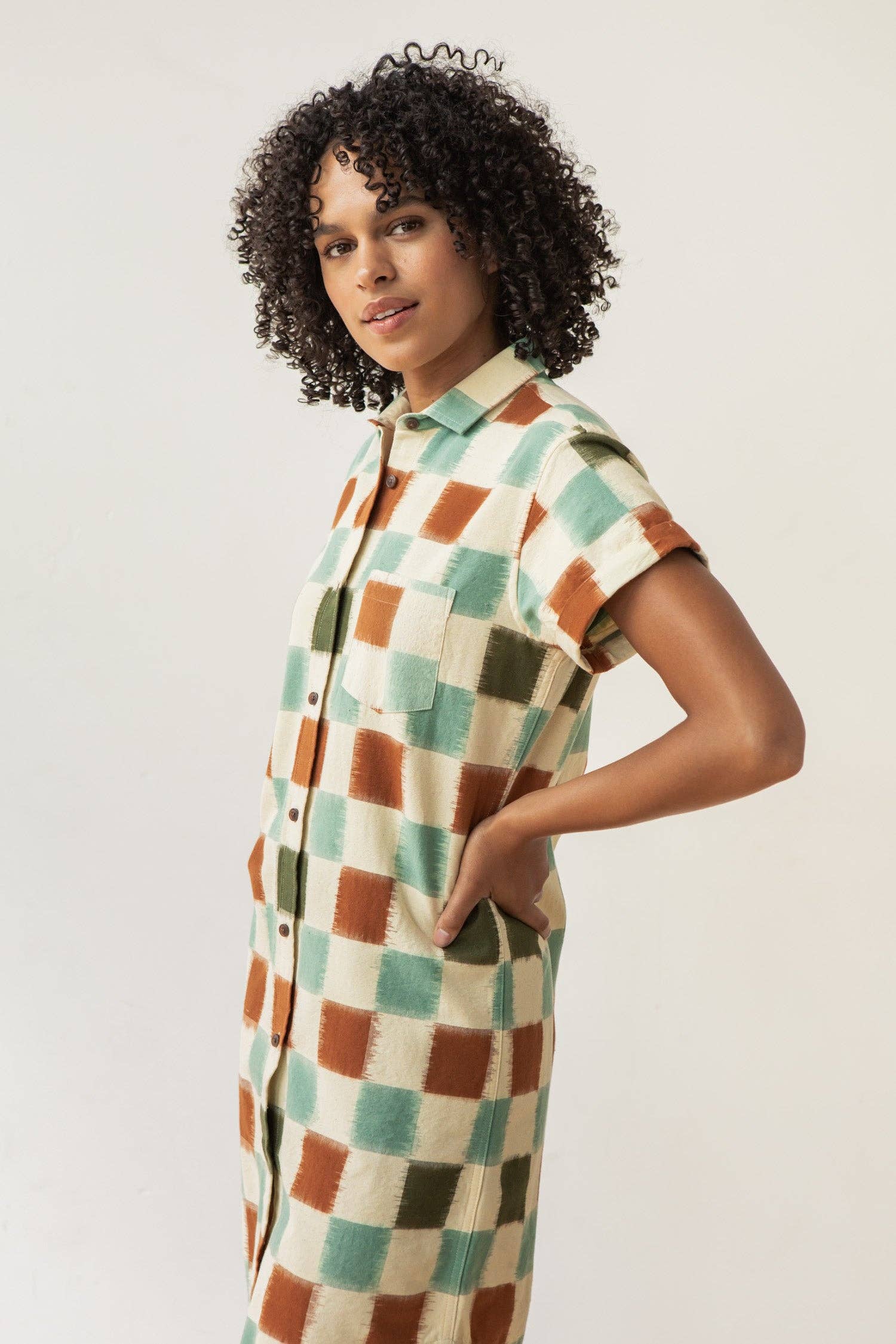 Loren Shirt Dress / Mod Checker: Mod Checker