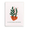 Year of Growth - Letterpress Birthday Greeting Card