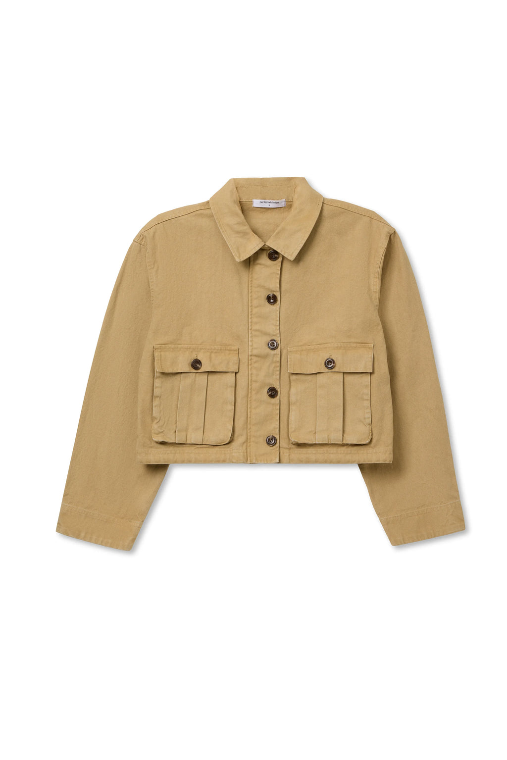 paloma | warm ochre
